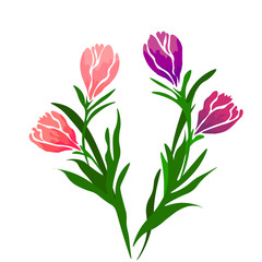 Tulip. Vector illustration. Springtime. Realistic Flowers. Bouquet