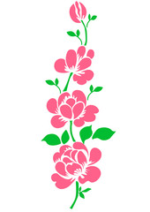 ketch flowers roses with leaves on stem. Flowers roses, red buds and green leaves.