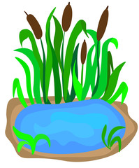 A small lake with reeds on the shore for landscape design isolated on a white background. Cartoon vector close-up illustration. 