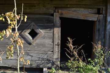 Derelict abandonet rural old wooden house fragment