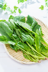 食材 ほうれん草