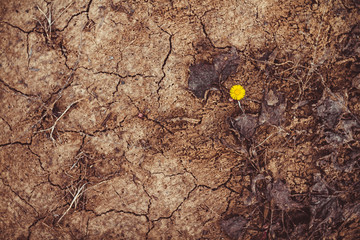 the texture of the clay