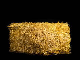 yellow dry barley straw