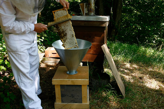 Production of artificial honeybee swarms