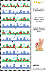 Visual puzzle: Match the pictures of beds with carrots to the shadows. Answer included.