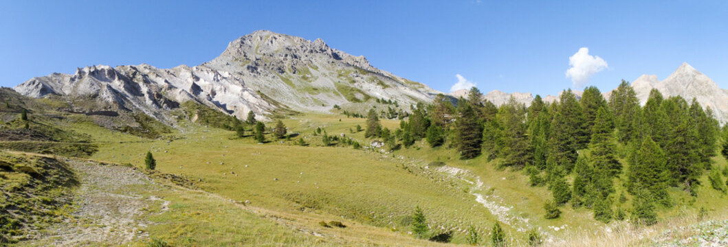pass road and surrounding mountains