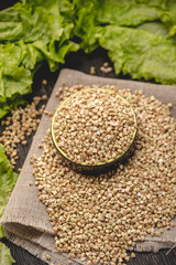 Seeds green buckwheat on a dark background. Vegan nutritious and healthy product. Concept of organic food