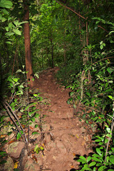 Jomblang cave, Java, Indonesia