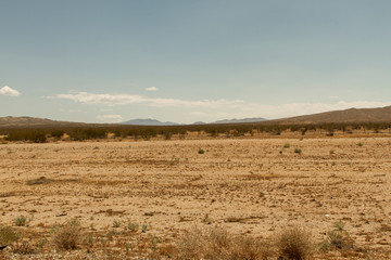 Fototapeta na wymiar MOJAVE DESERT