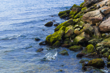 Waves hit the mossy rocks and stones at coast 