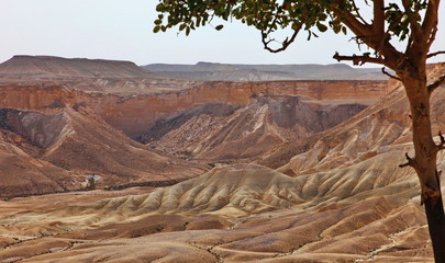 Machtesh Ramon - erosion crater in the Negev desert, the most picturesque natural landmark of Israel..&nbsp; Unearthly landscapes, geological phenomena, absolute silence.
