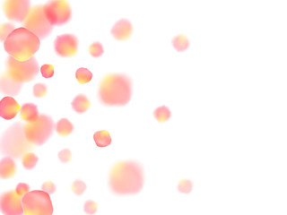 Rose gold petals flying cosmetics vector background.