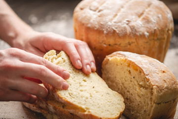 Women's hands breaking homemade natural fresh bread with a Golden crust on old wooden background. Baking bakery products