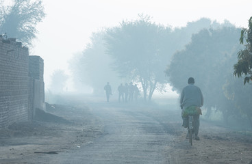 man riding bicycle early foggy morning village