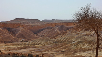 Machtesh Ramon - erosion crater in the Negev desert, the most picturesque natural landmark of...