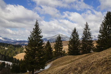 Landscape on the topic: Go where you feel most alive