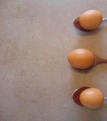 Chicken egg on the wooden spoon. Top view. Gray wooden background in the kitchen.