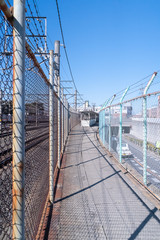 Obraz premium 電柱