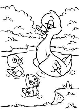Duck mother little ducklings walk bathing pond cartoon illustration coloring page