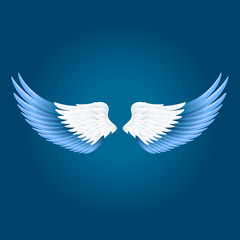 wide open realistic angel wings