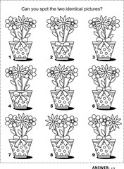 Flowers in dotted pots visual puzzle and coloring page. Answer included.