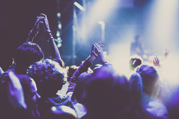 cheering crowd with raised hands at concert - music festival