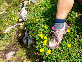 Hiking shoe on grass