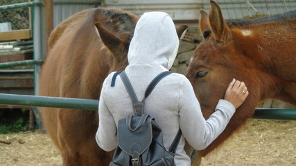 Mujer de espaldas hablando con caballos