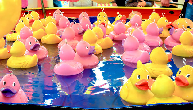 Rubber Ducky Carnival Game Free Stock Photo - Public Domain Pictures