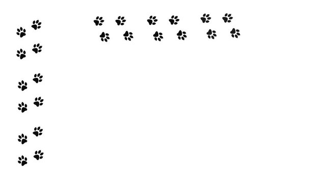 Paw prints on a white background in motion. Traces of a moving animal.