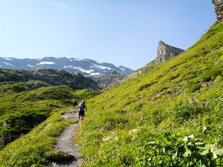 Fototapeta na wymiar alpine landscape in the Titlis region