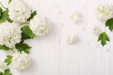 decorative viburnum on  wooden background