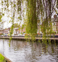 Fototapeta na wymiar A view from the Riverside walk along the banks of the River Wensum in the City of Norwich, Norfolk