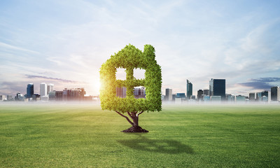 Green plant in shape of house grows at green field