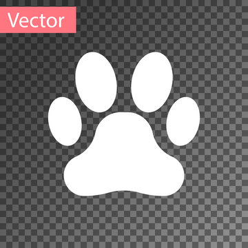 White sale dog paw