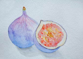 Watercolor drawing, purple figs on a white background
