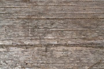 Old board texture