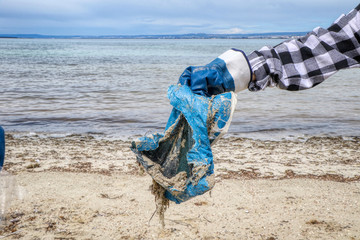 Woman collects plastic waste on a beach with covered shoreline of sea grass