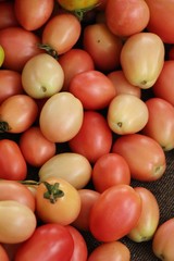 Fresh tomatoes for cooking in street food