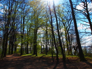 Wonderful Hirschpark 