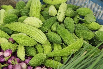 Bitter melon gourd for cooking in market