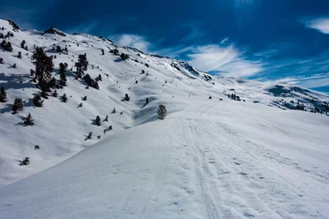 Foto auf Leinwand Skitour Aufstieg zum Gilfert © driendl