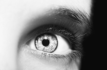 A beautiful insightful look eye. Close up shot