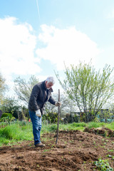 Man preparing ground to grow own vegetables in an allotment garden