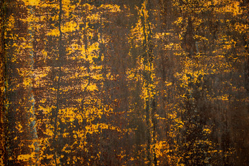 Old metal wall painted in gold color use for background