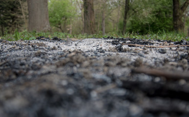 Ash in gorund, green forrest in background.