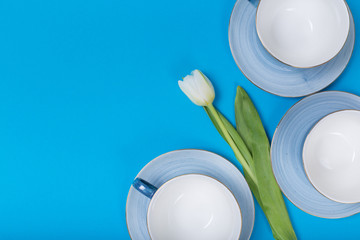 cups on a blue background top view