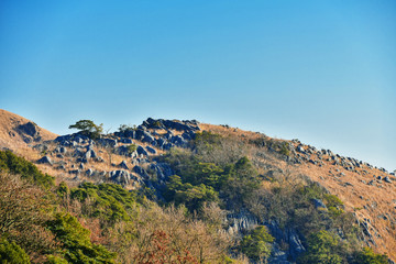 冬の青空の平尾台