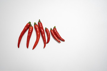 Red chilli isolated in white background with an egg spelling the letter of love
