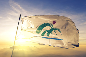 North Chungcheong province of South Korea flag waving sunrise mist fog